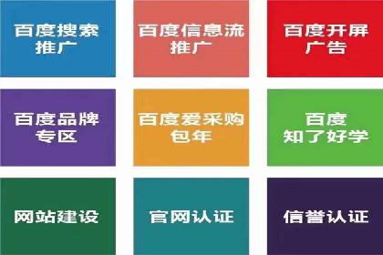 成功案例：信息流代运营助力品牌成长